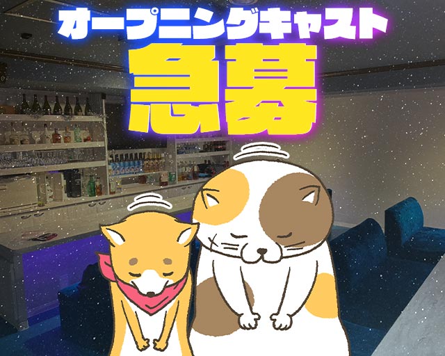 【夕×夜】コンセプトBar Blanc-ブラン- 武蔵小杉コンカフェ求人・バイト TOP画像