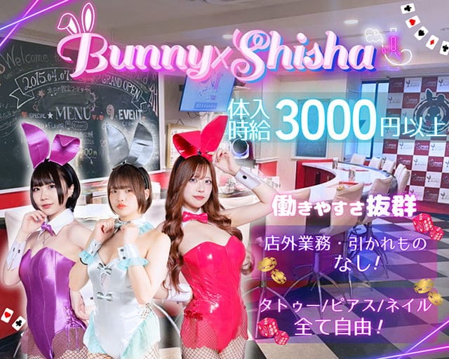 Bunny’s Guild（バニーズギルド） 秋葉原コンカフェ求人・バイト TOP画像