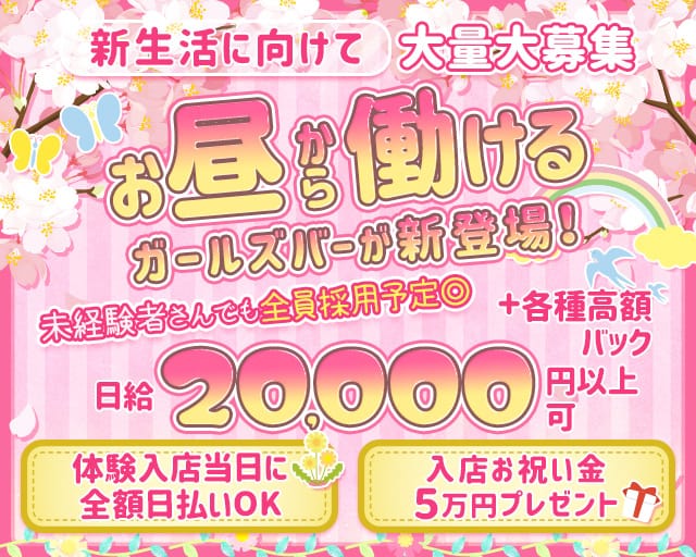 【昼・夕・夜】BAR Ms.（ミス） 梅田コンカフェ求人・バイト TOP画像