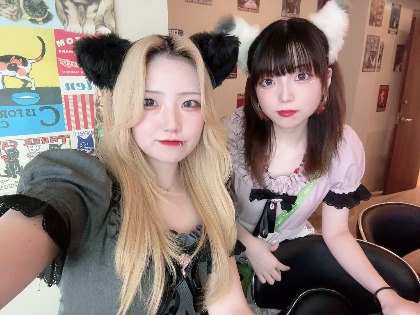 猫パブ 秋葉原コンカフェ求人・バイト TOP画像