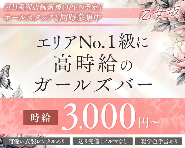 乙女坂（オトメザカ）