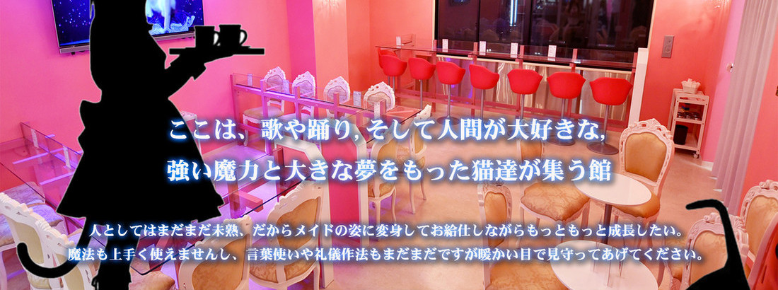 みけねこcafe清瀬本店 清瀬駅コンカフェ求人・バイト TOP画像