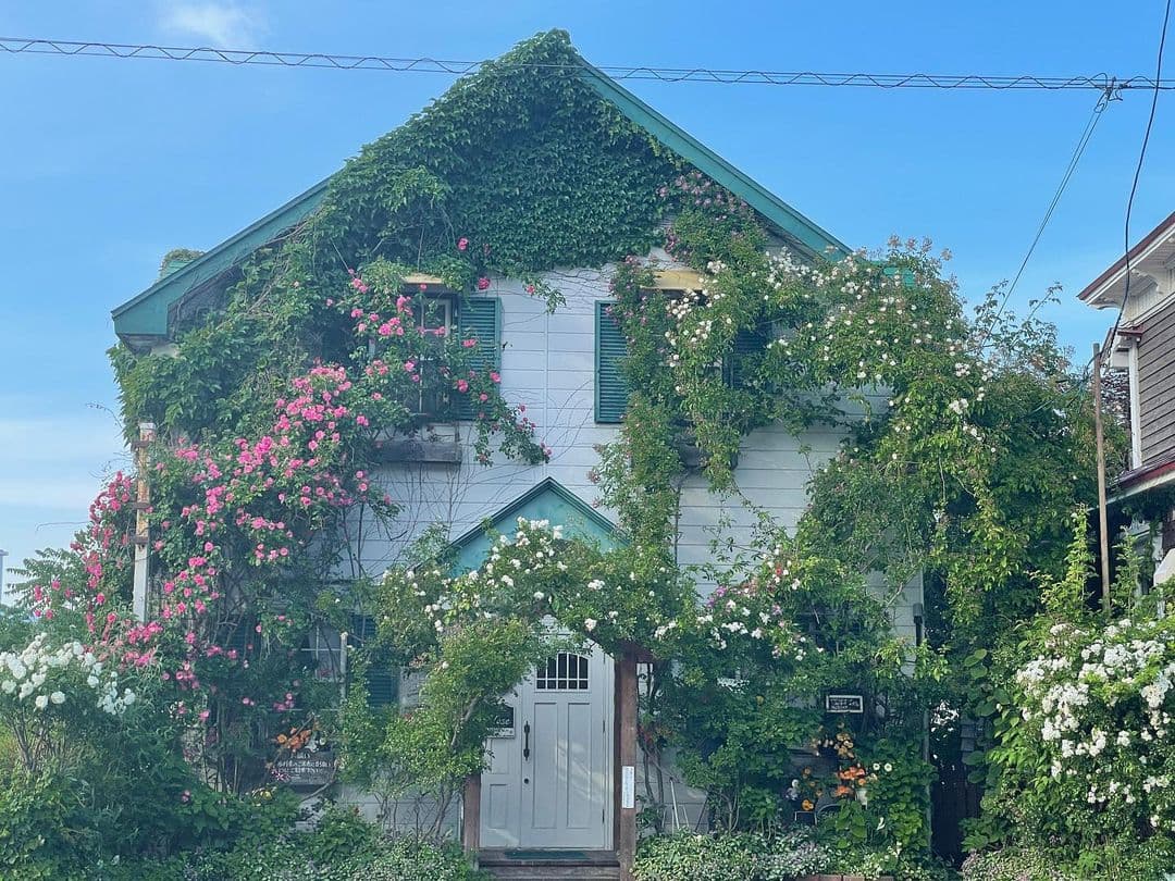 グリーンゲイブルズ 函館駅コンカフェ求人・バイト TOP画像