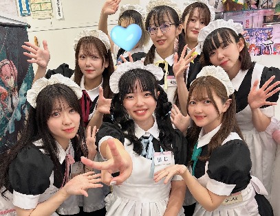 Cafe Mailish（メイリッシュ） 秋葉原コンカフェ求人・バイト TOP画像