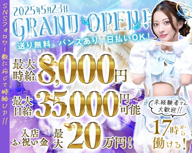 コンカフェVELLY（ベリー） 新橋コンカフェ求人・バイト TOP画像