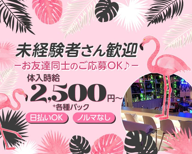 Tropical Paradise Bar Flamingo（フラミンゴ）