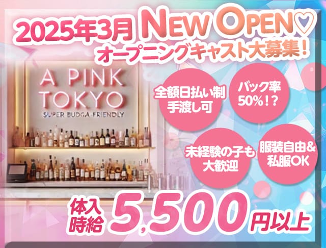 A PINK TOKYO（エーピンクトウキョウ） 上野コンカフェ求人・バイト TOP画像