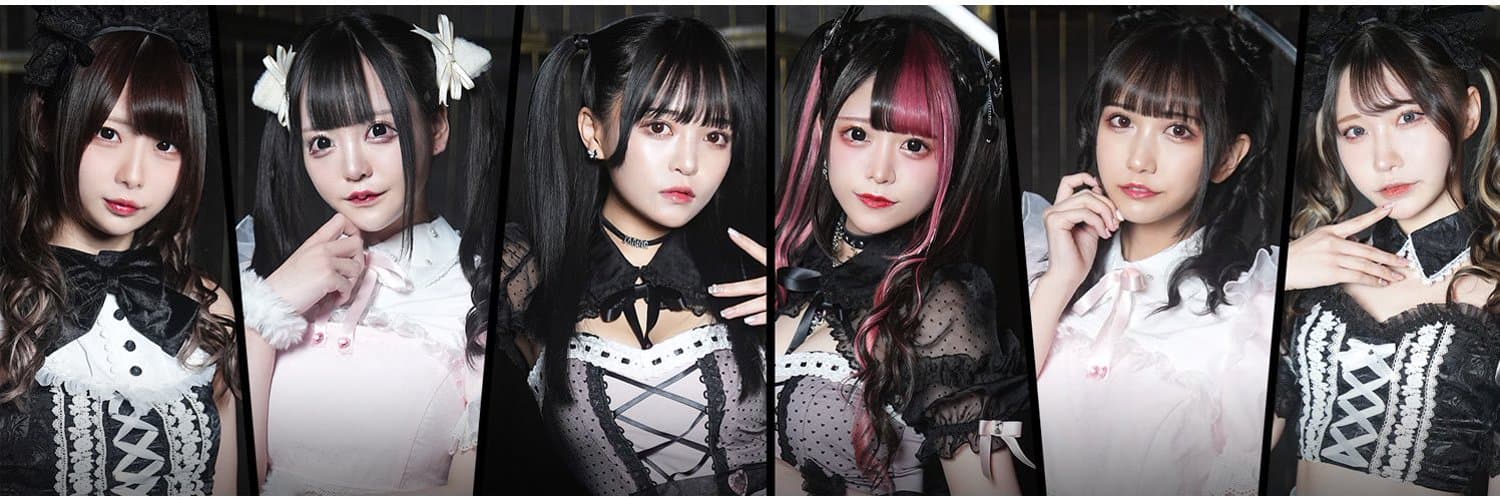 Shandy Love -シャンディ ラブ- 歌舞伎町コンカフェ求人・バイト TOP画像