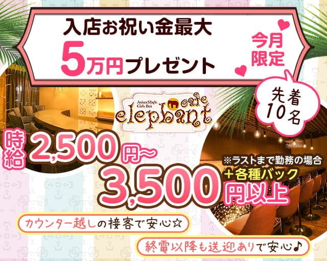 Girls Bar elephant cafe（エレファントカフェ）プリンス 札幌