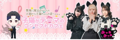 清楚な子猫ちゃんのcafe&barみゃおみゃお