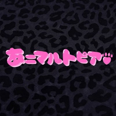あニマルトピア 歌舞伎町コンカフェ TOP画像
