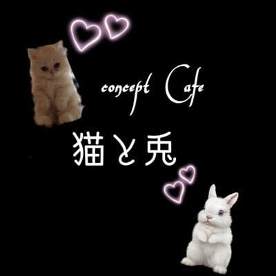 猫と兎