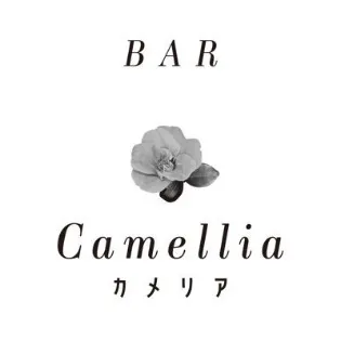 Bar Camellia-カメリア- 秋葉原コンカフェ TOP画像