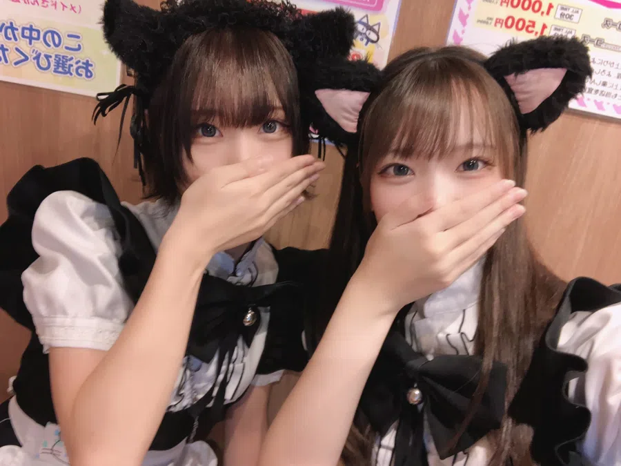 黒猫メイド魔法カフェ ドン・キホーテ広島八丁堀店