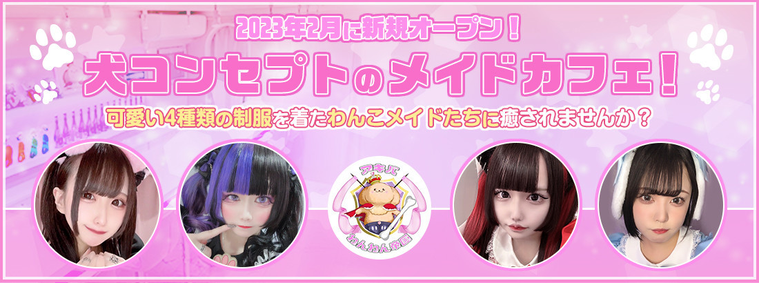 アキバわんわん帝国(秋葉原コンカフェ)の店舗情報