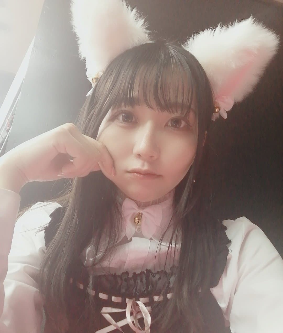 猫と兎